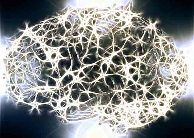 Neurons lighting up in a brain